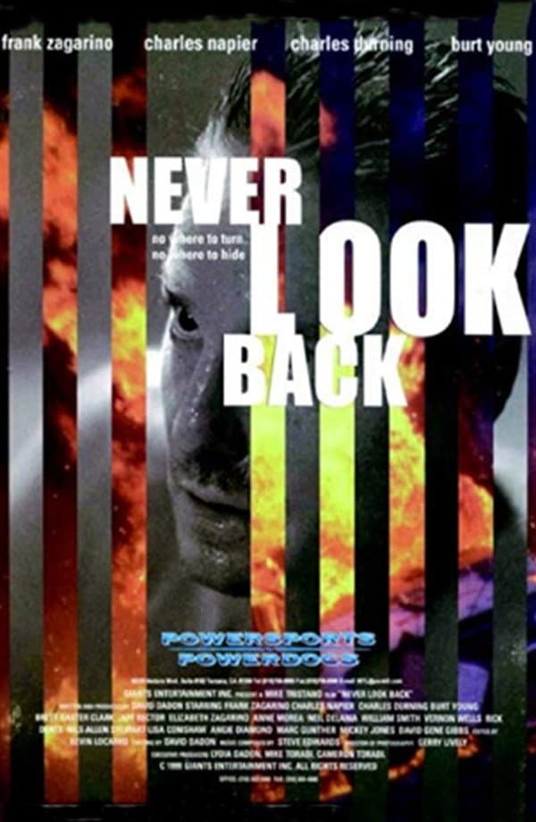 Poster di Never Look Back