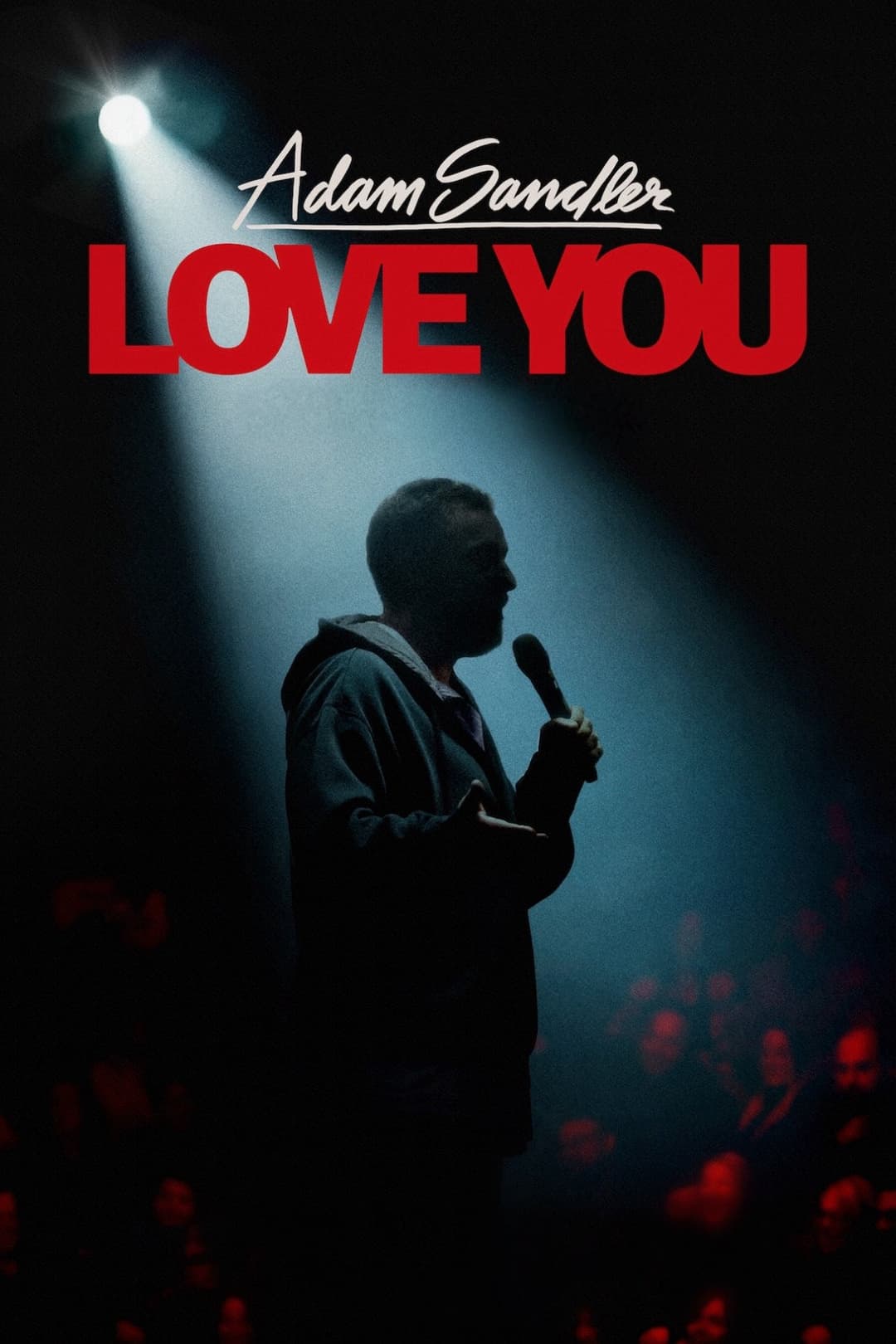 Poster di Adam Sandler: Love You
