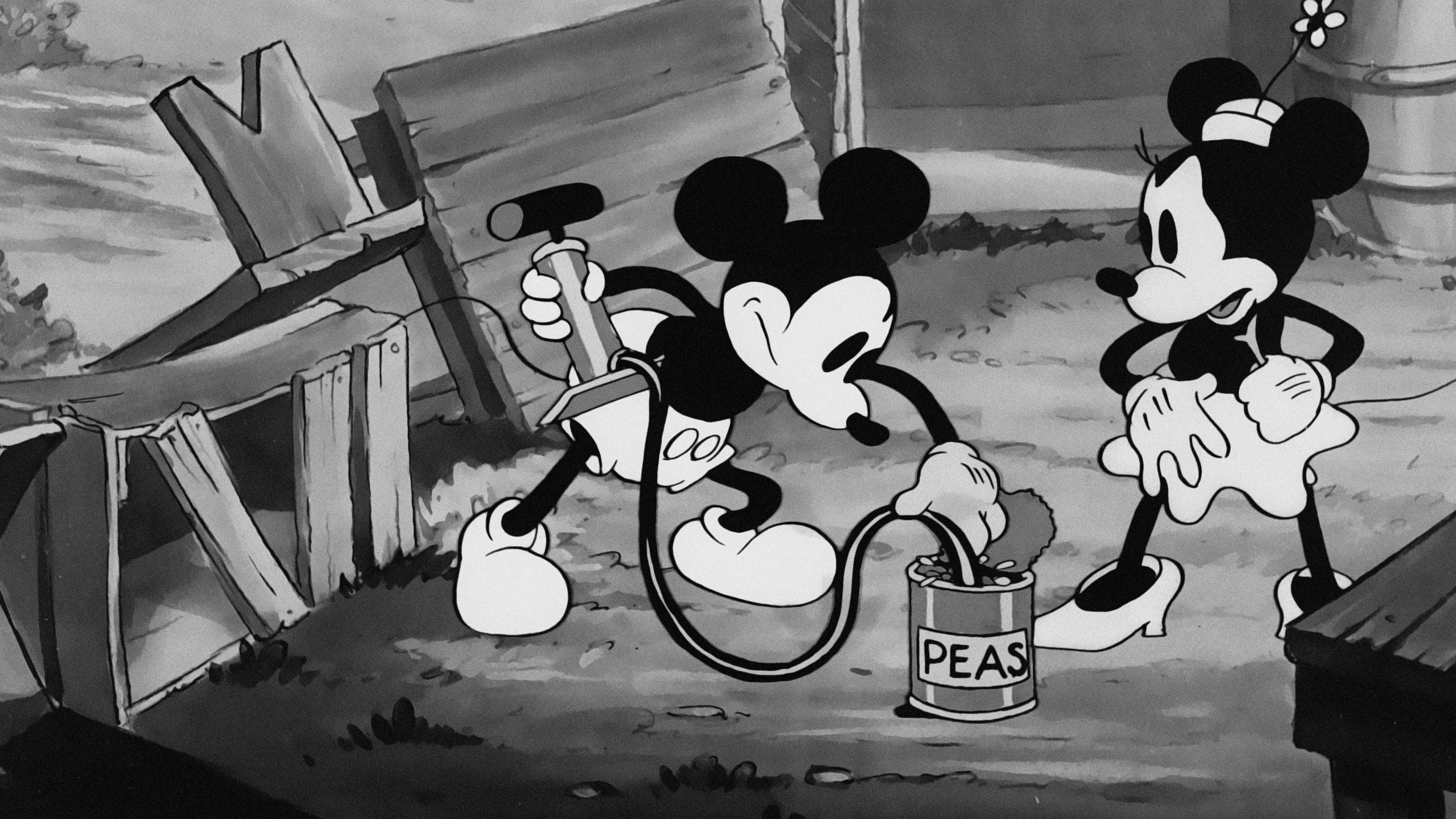 Topolino in vacanza - immagine
