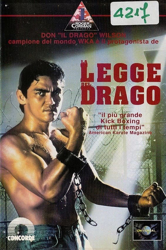 Poster di La legge del drago