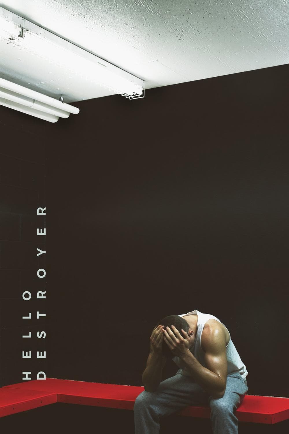Poster di Hello Destroyer