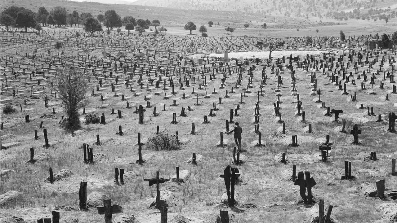 Salvate Sad Hill - immagine