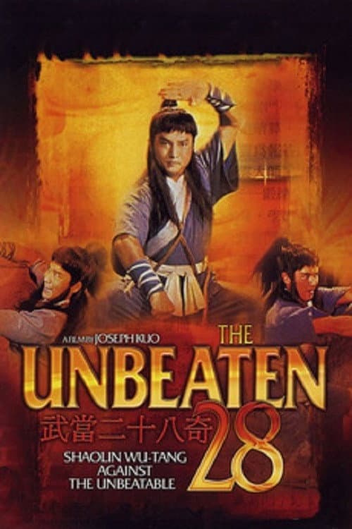 Poster di 武當二十八奇