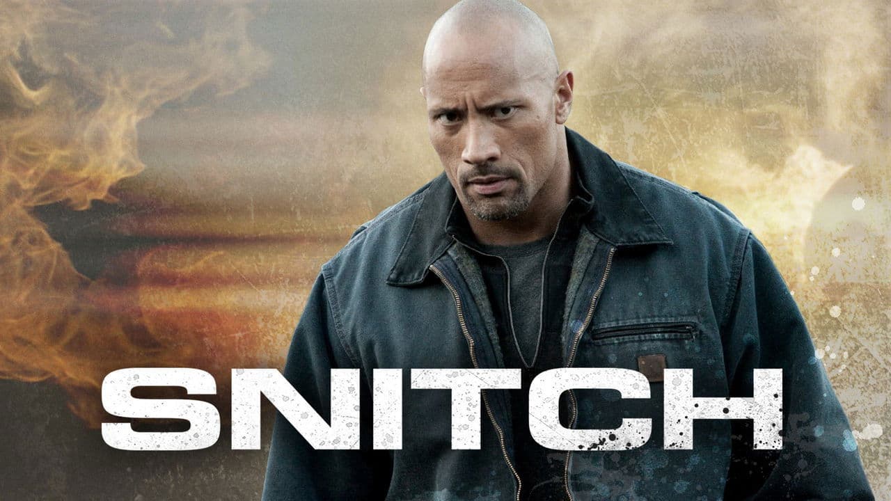 Snitch - L'infiltrato - immagine