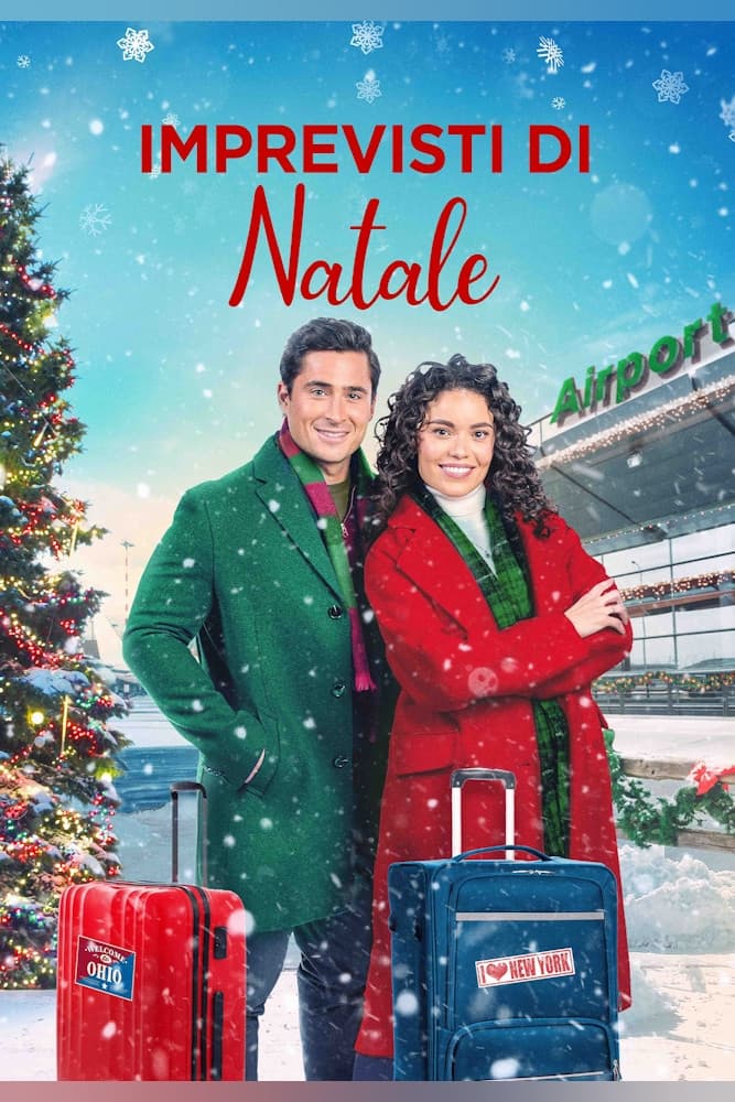 Poster di Imprevisti di Natale