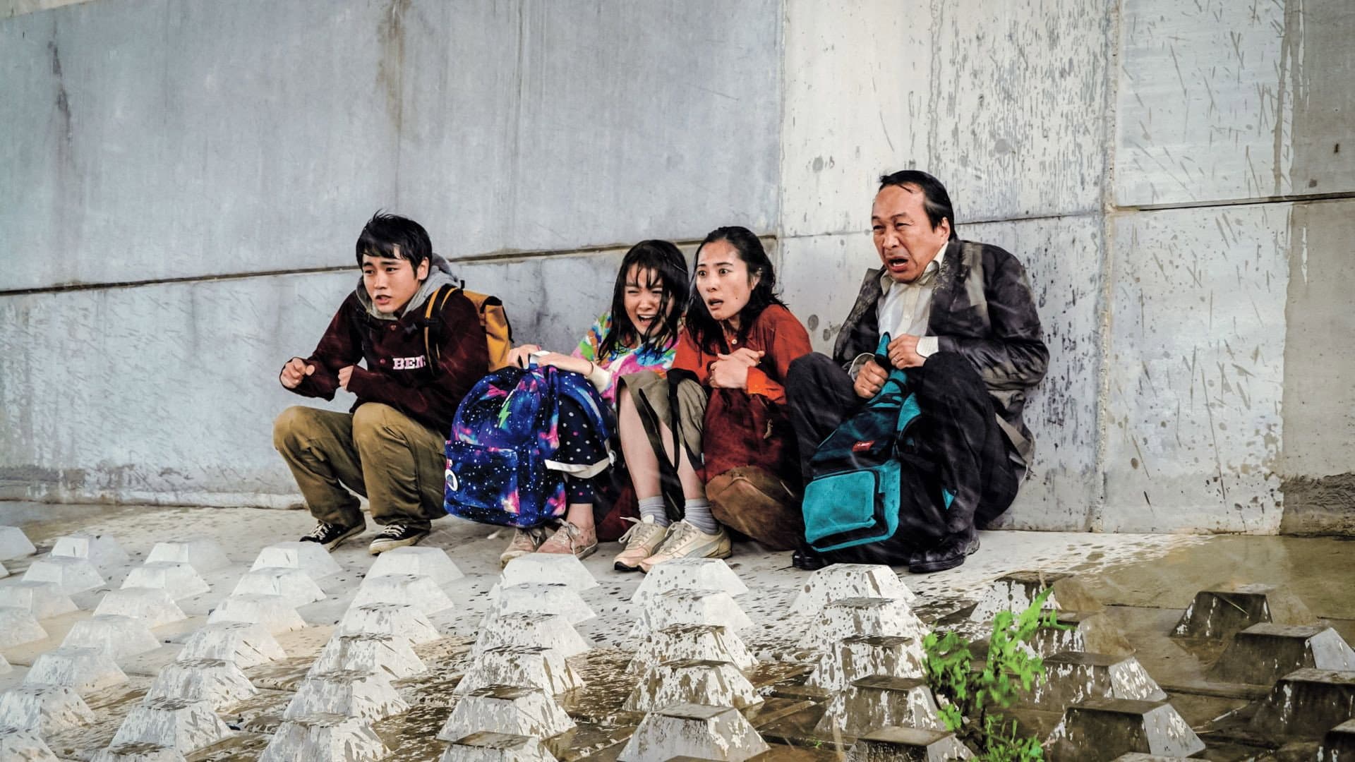 Survival Family - immagine