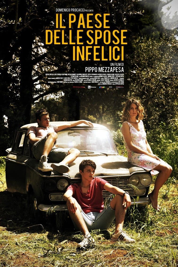 Poster di Il paese delle spose infelici