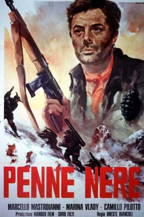 Poster di Penne nere