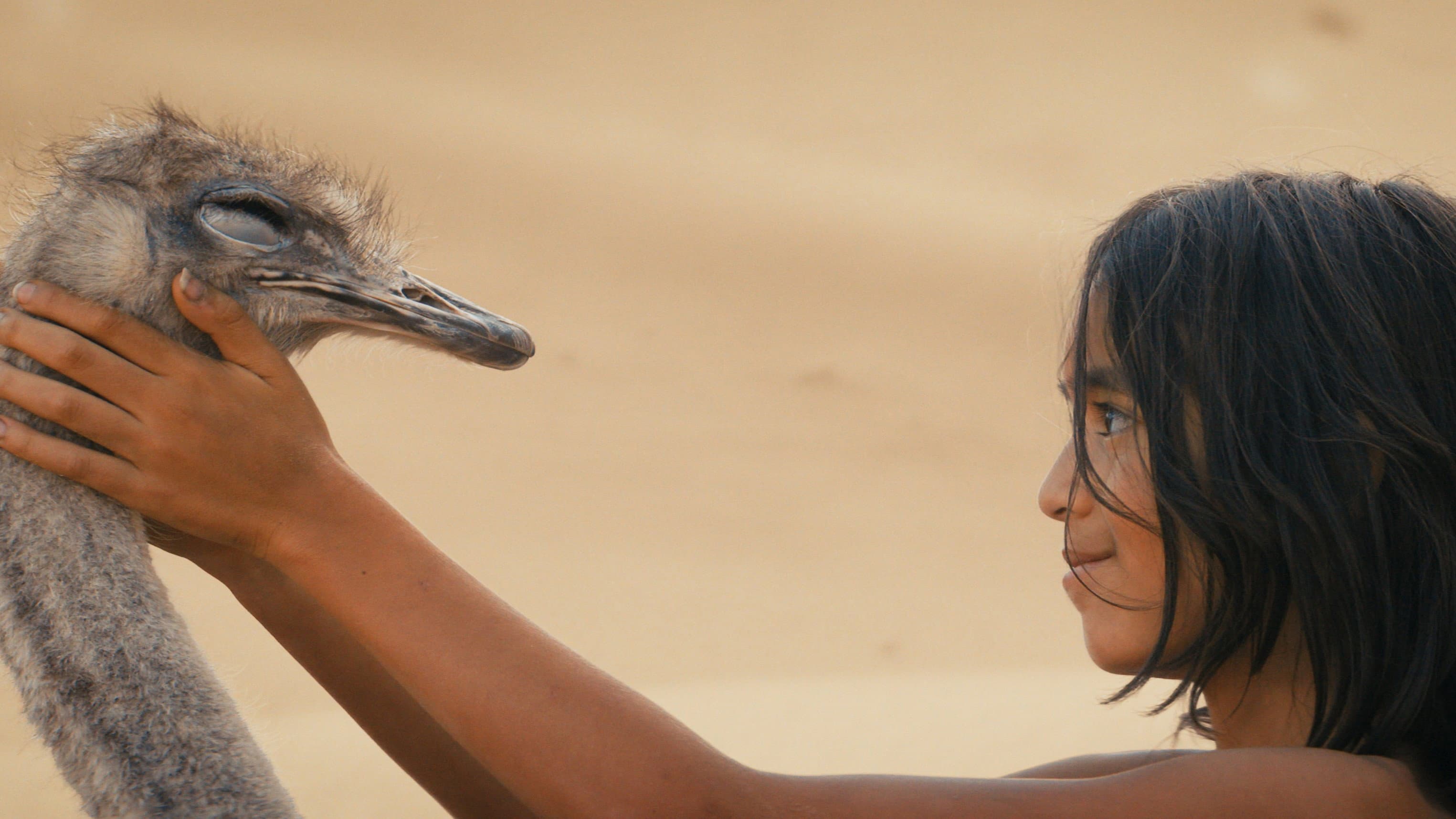 Il figlio del deserto - immagine