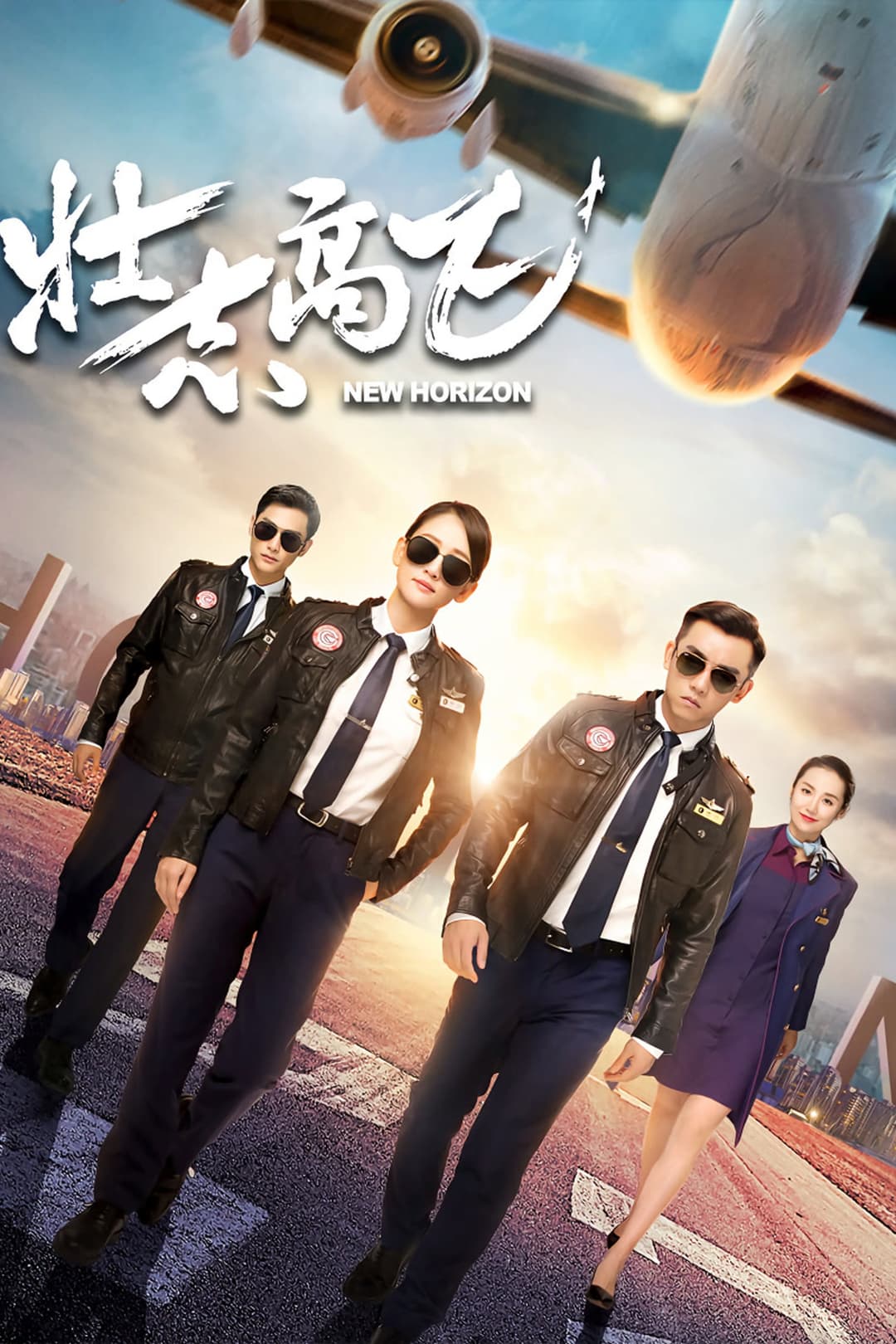 Poster di 壮志高飞