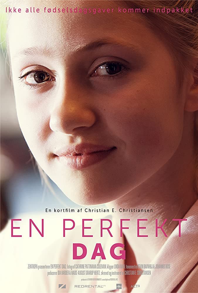 Poster di En perfekt dag