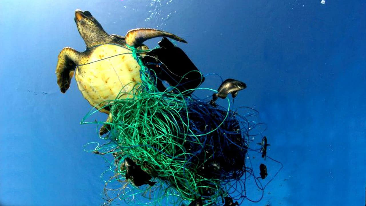 A Plastic Ocean - immagine