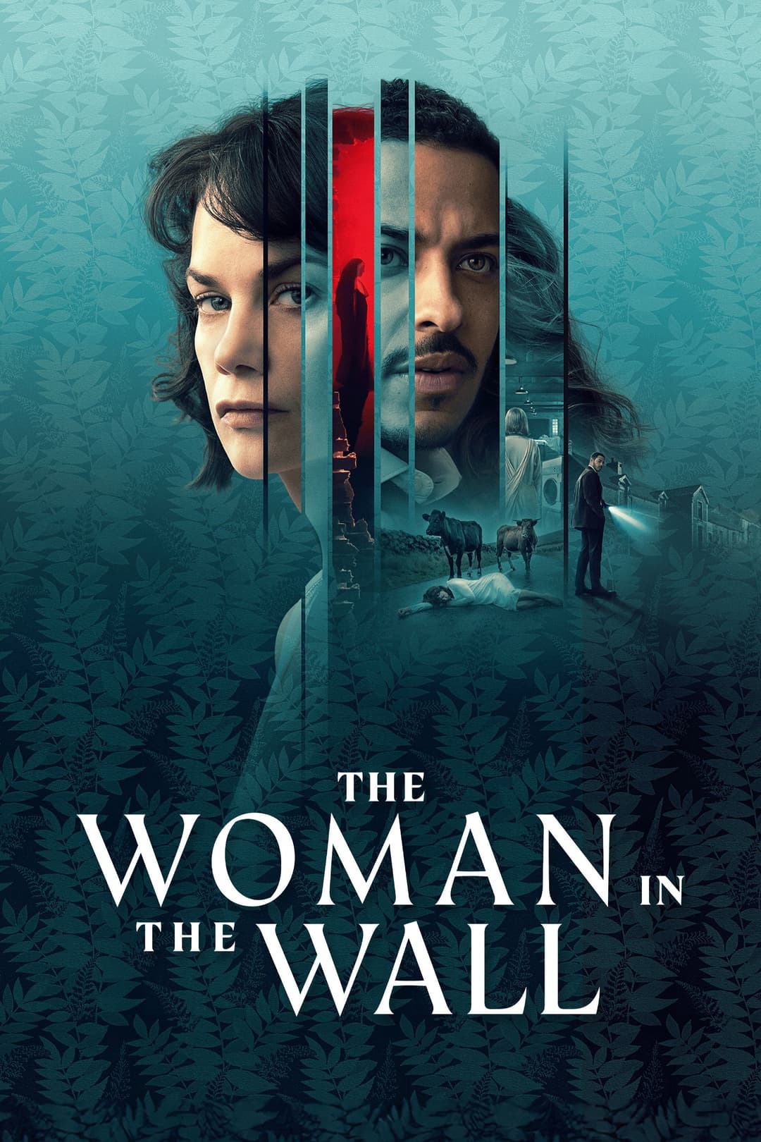 Poster di The Woman in the Wall