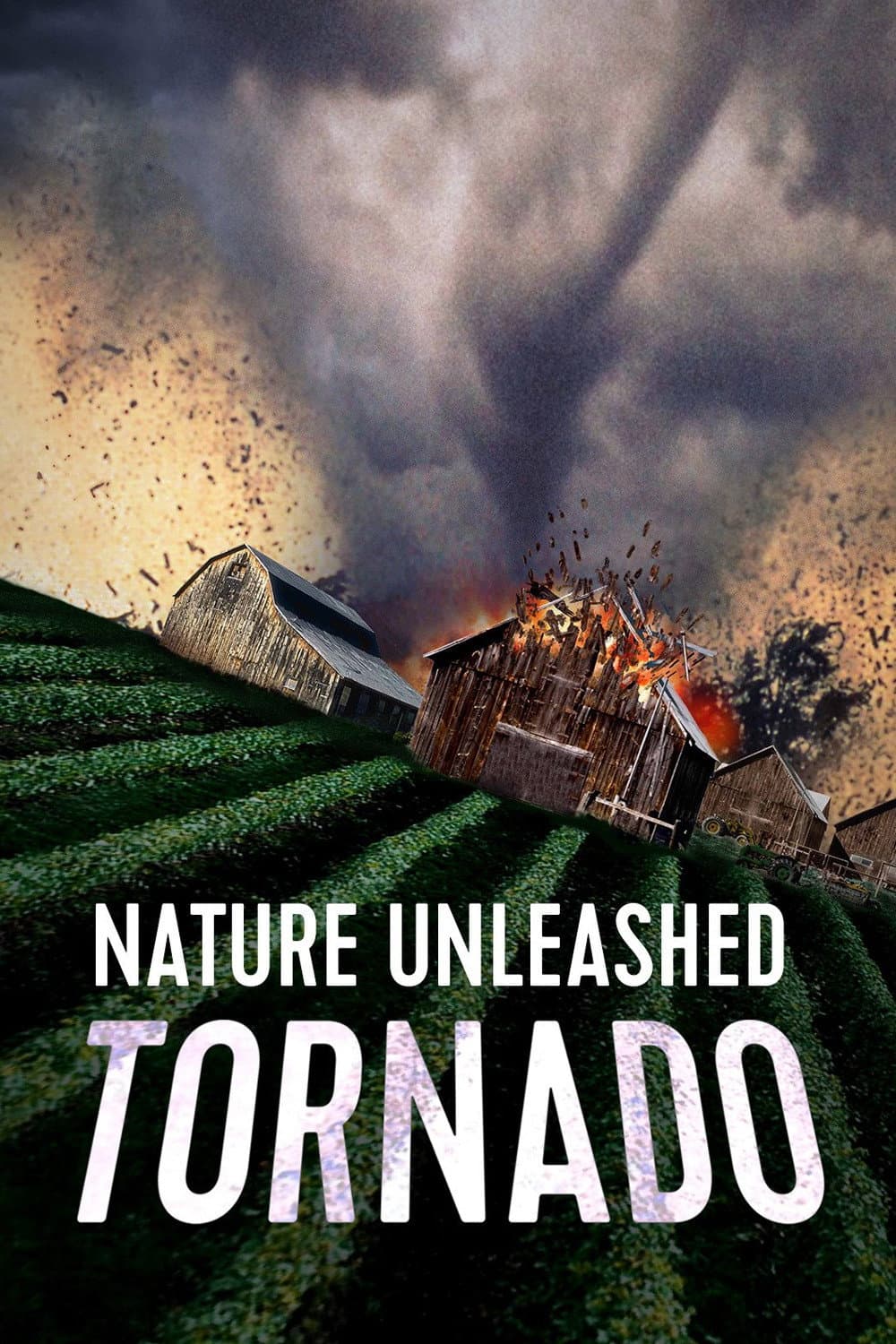 Poster di Tornado - Il vento che uccide