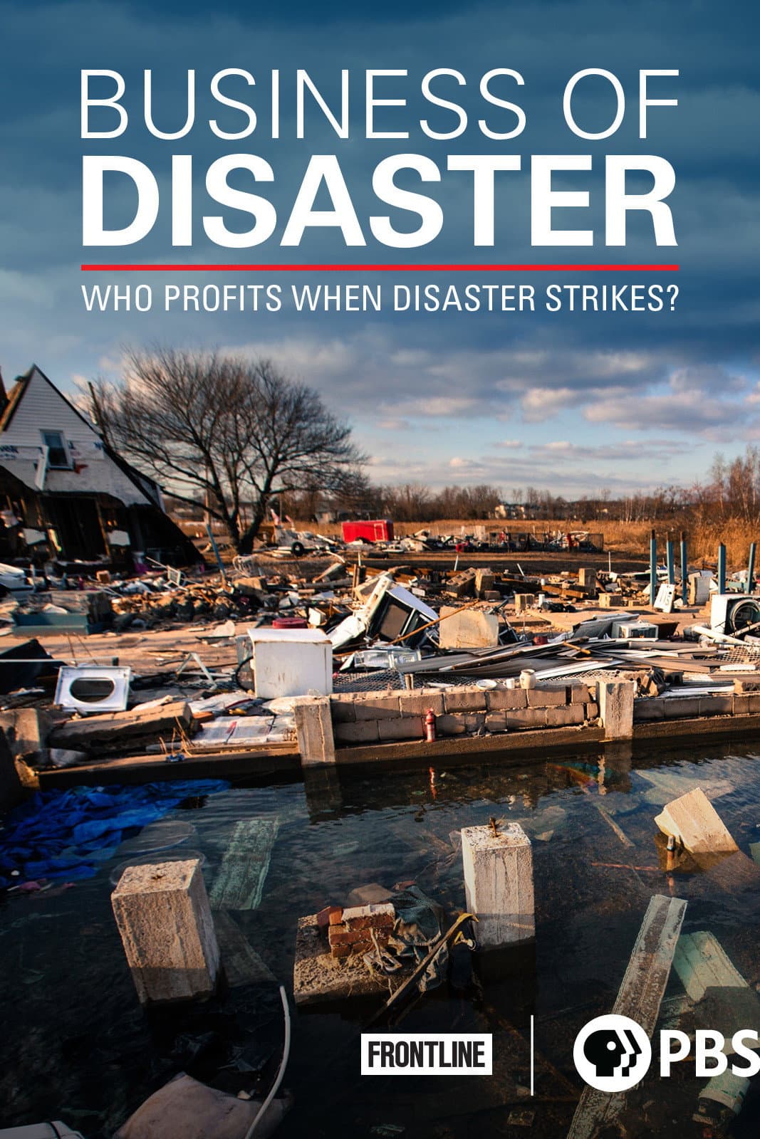Poster di Business of Disaster