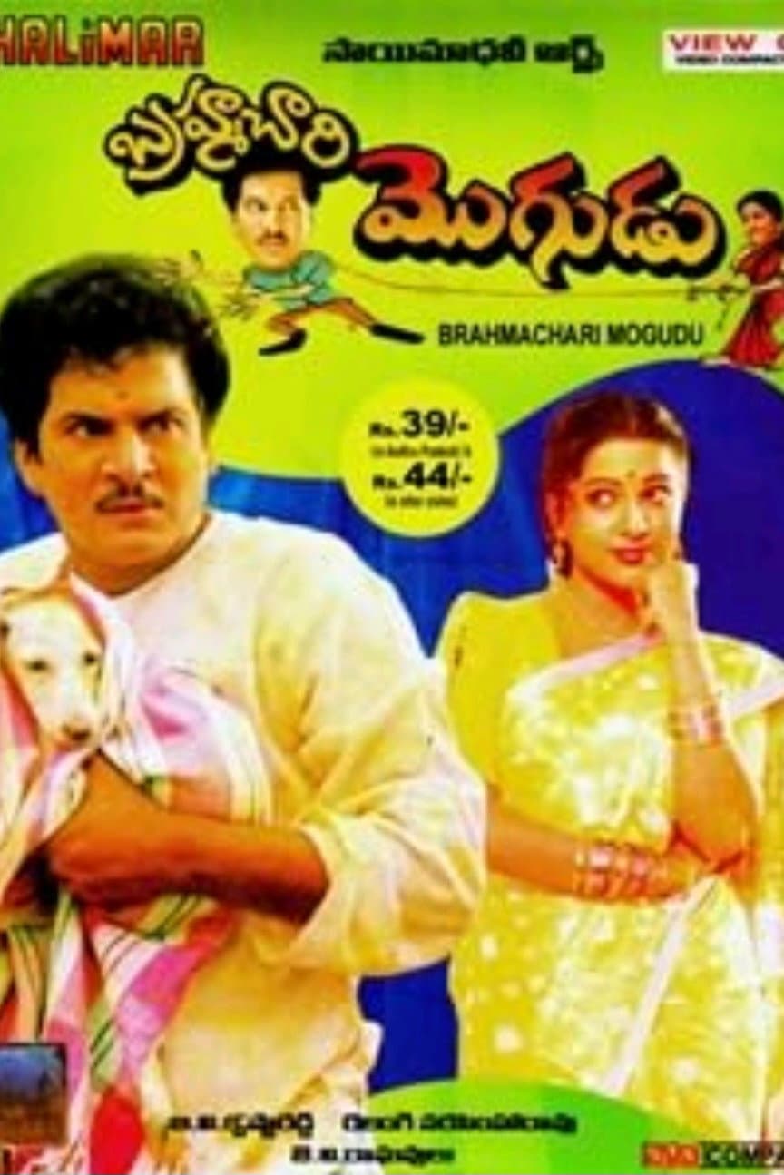 Poster di బ్రహ్మచారి మొగుడు
