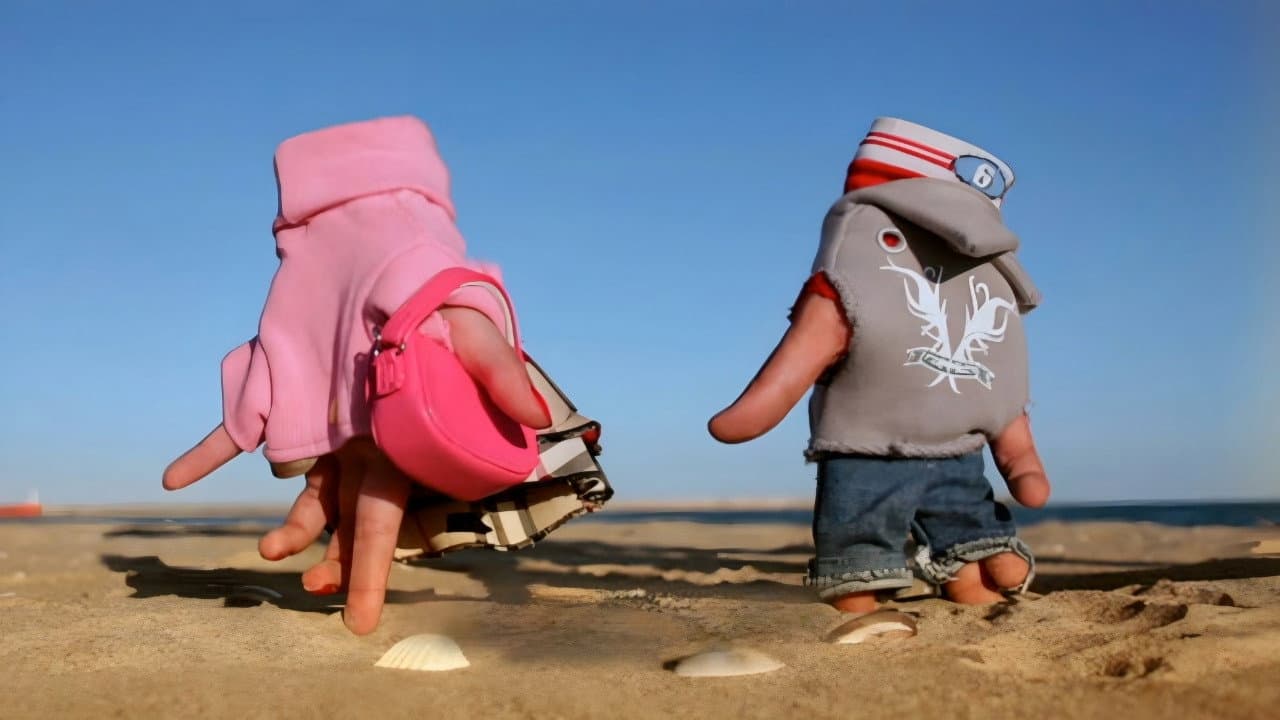 Handy - immagine