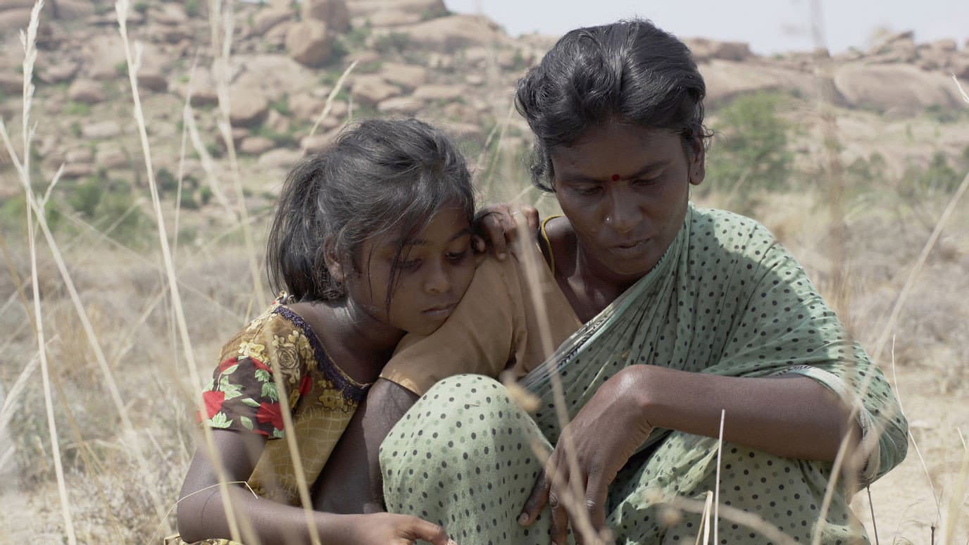 Pebbles - immagine