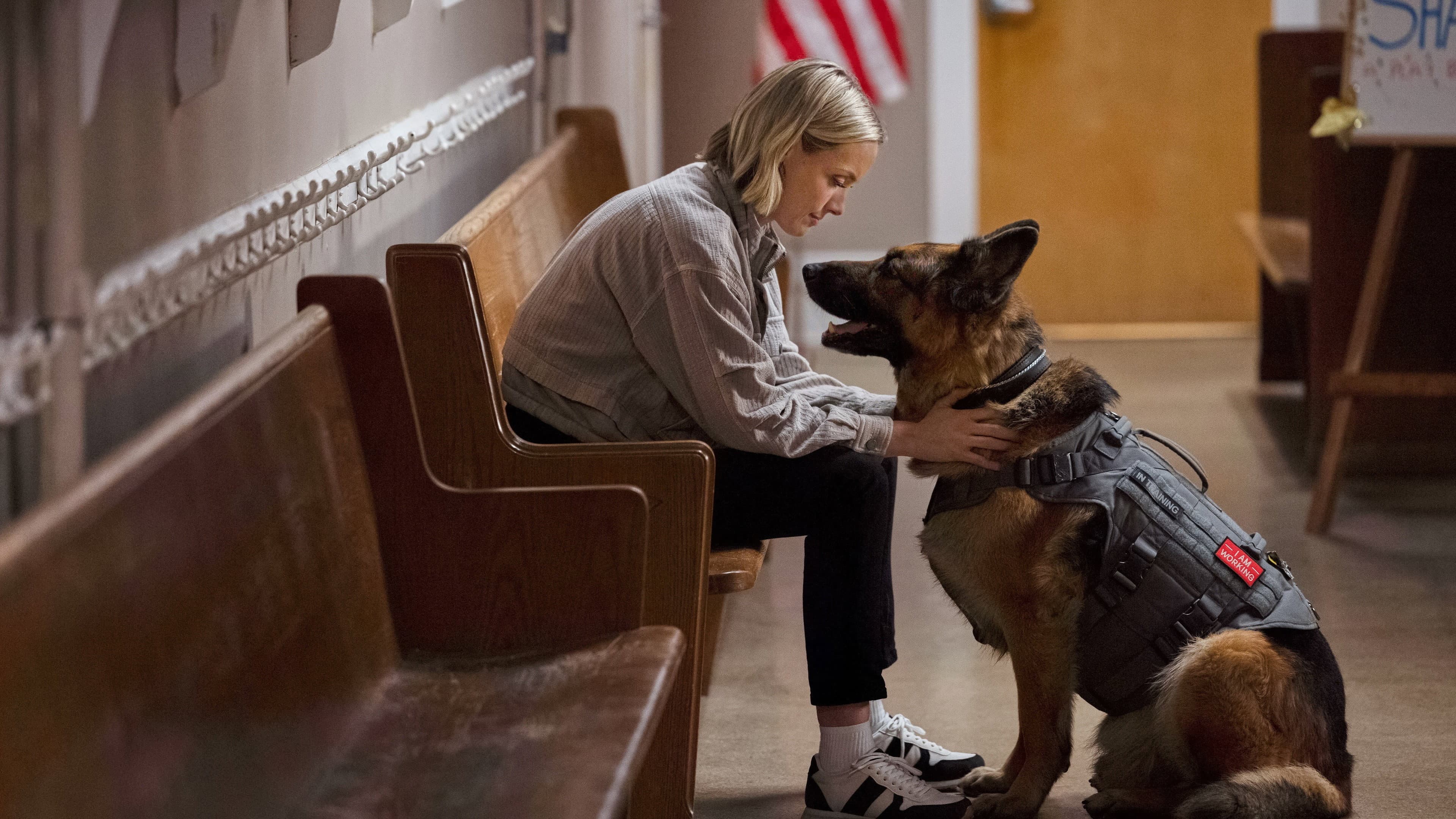 Jazz Ramsey: A K-9 Mystery - immagine