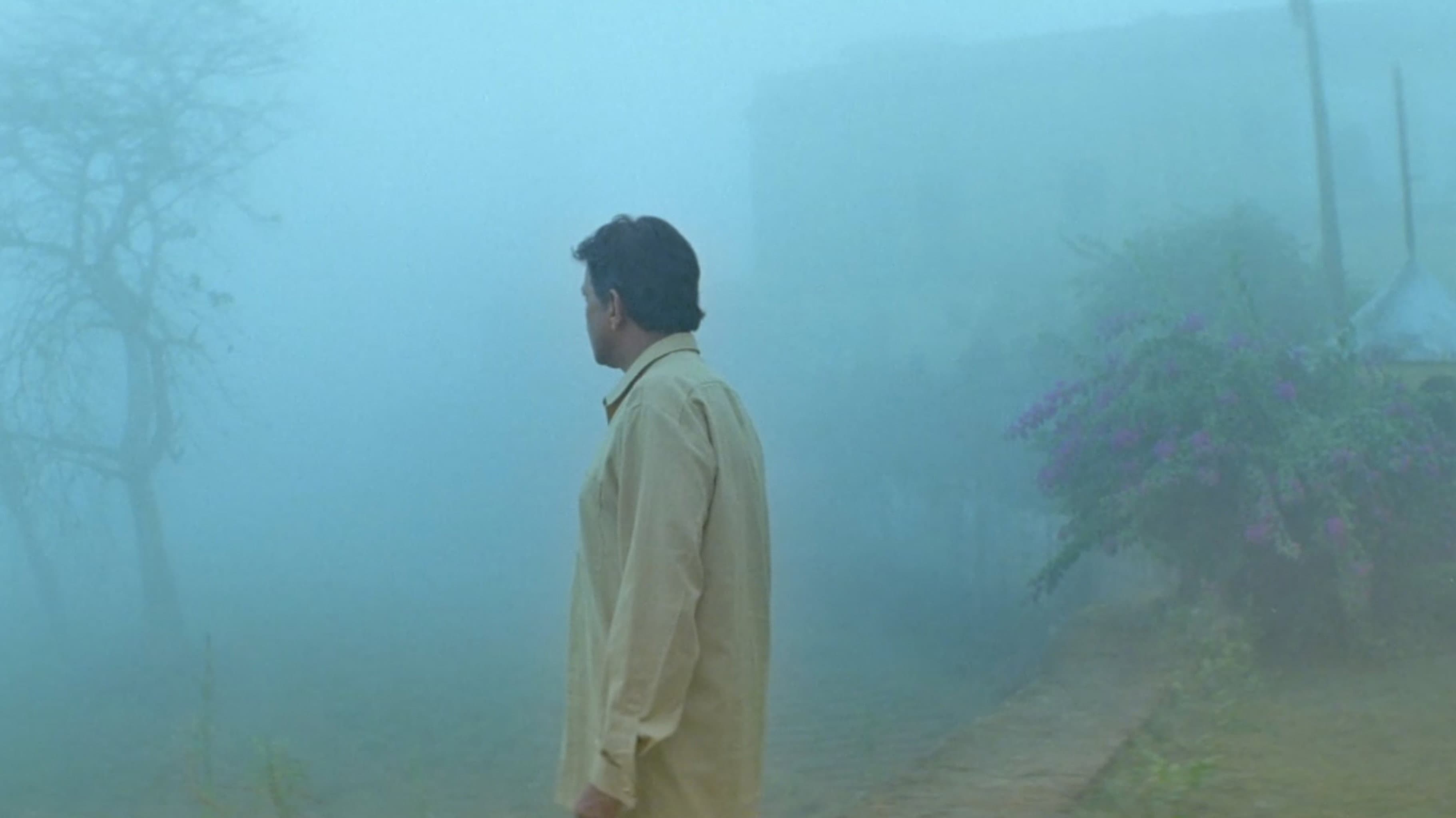 কালপুরুষ - immagine