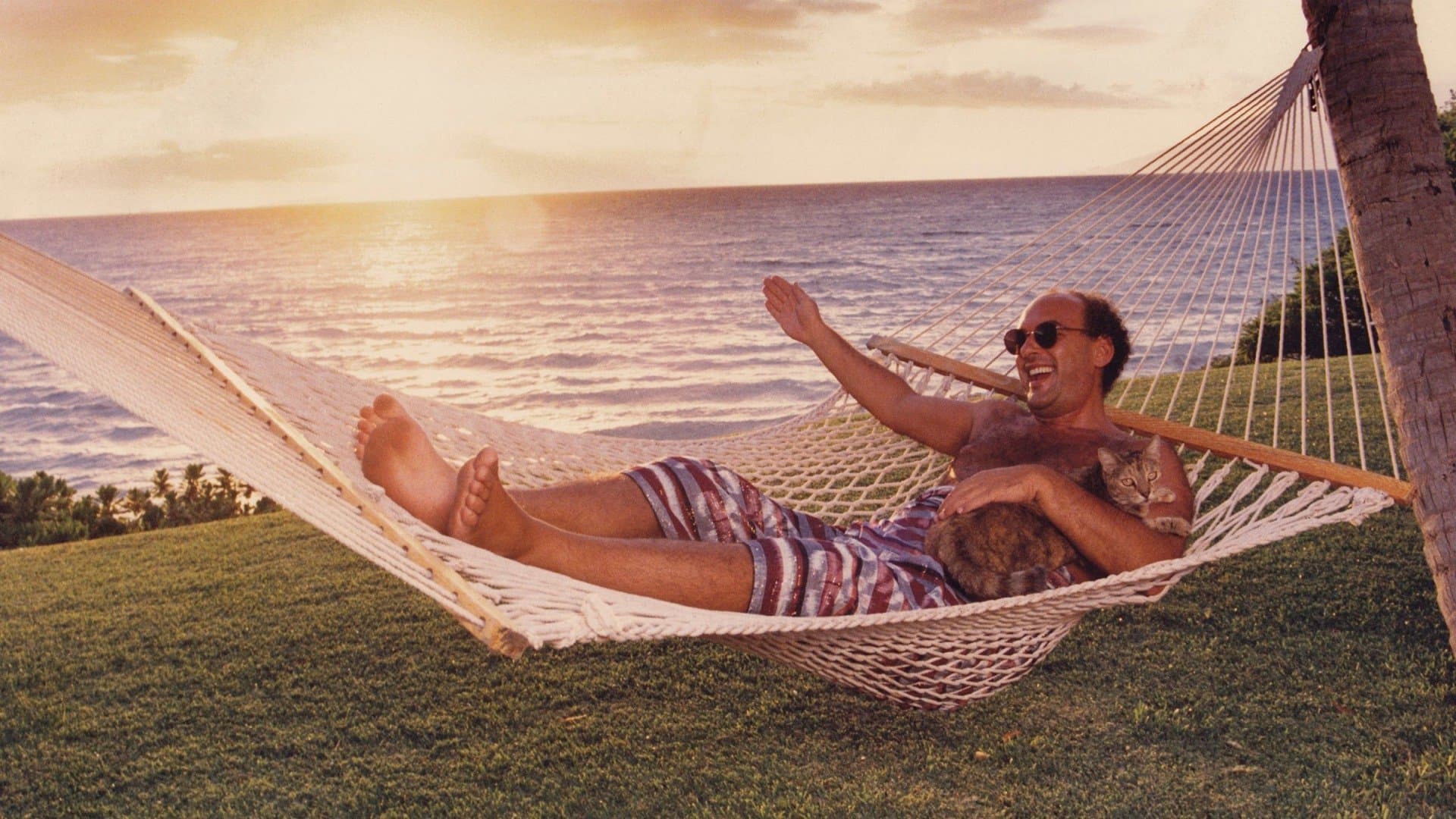 Supermensch: The Legend of Shep Gordon - immagine