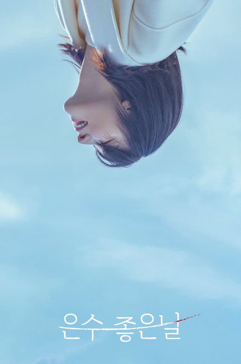 Poster di 은수 좋은 날