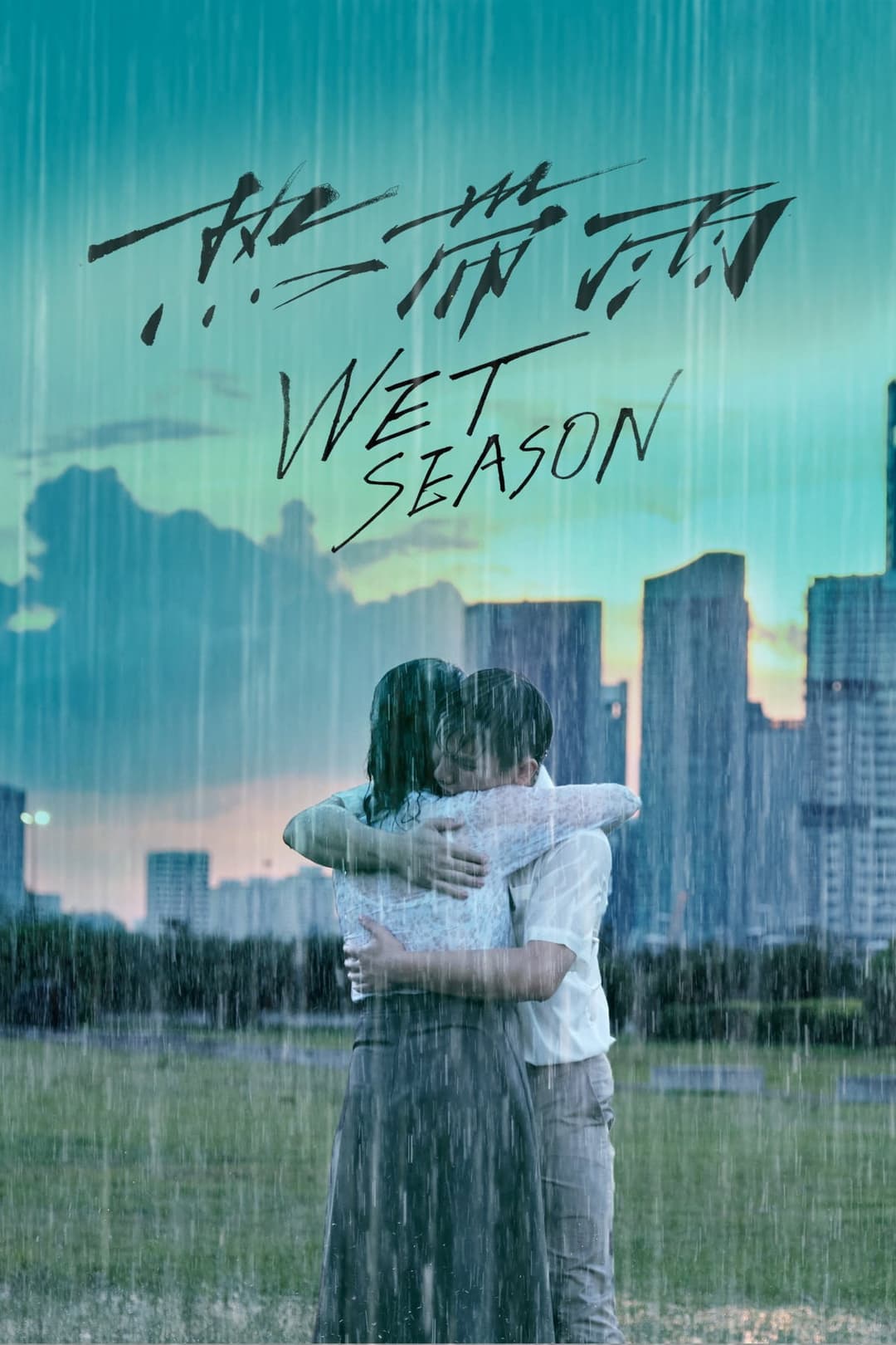 Poster di Wet Season