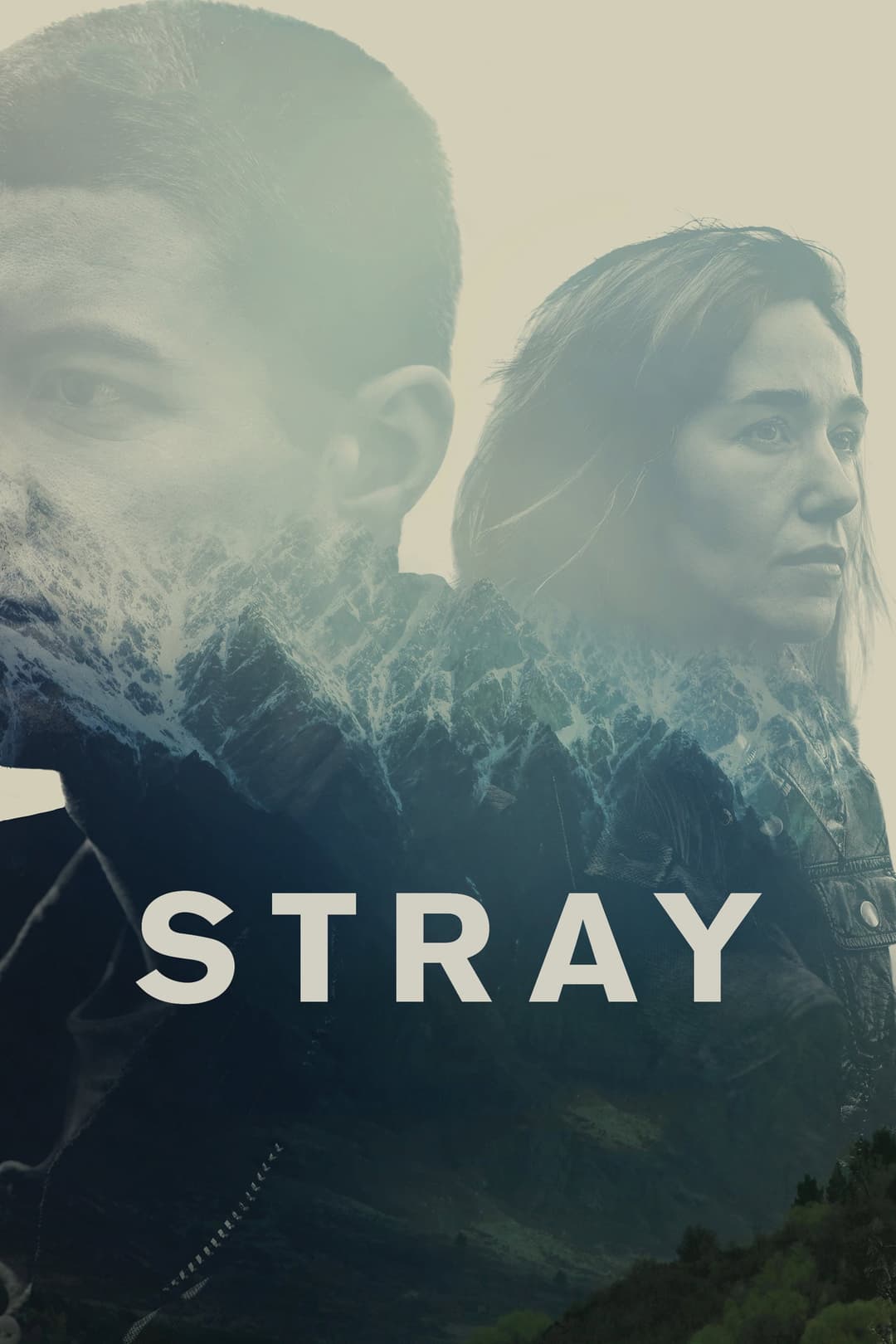 Poster di Stray