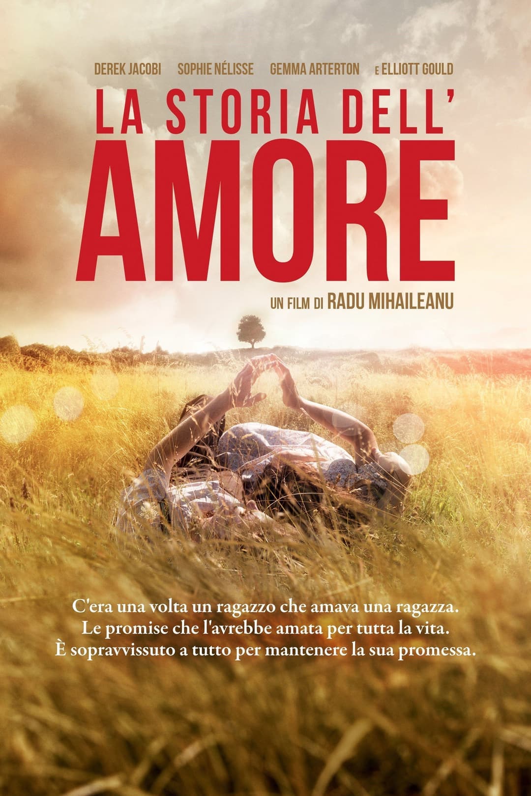 Poster di La storia dell'amore