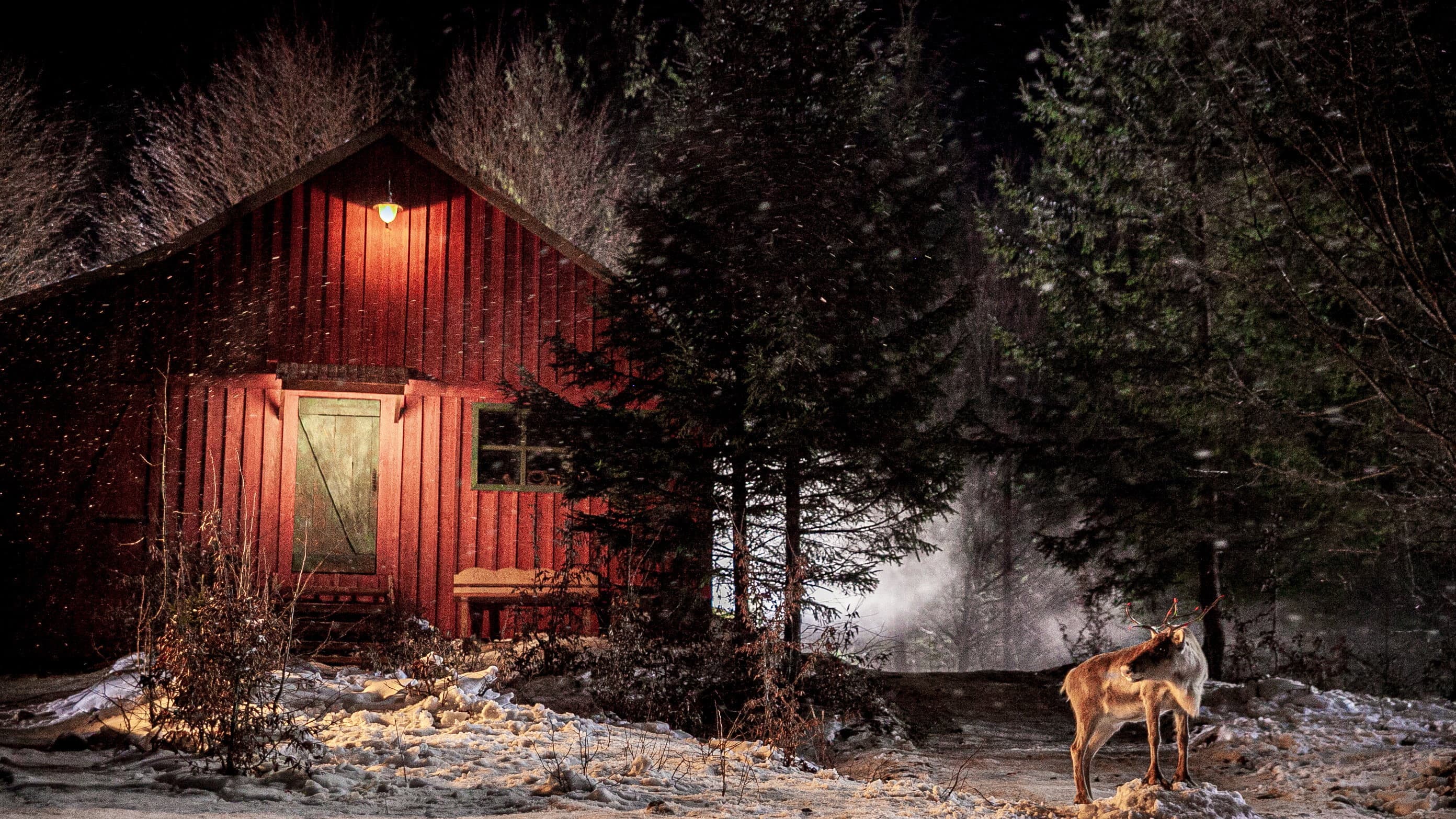 Prancer: A Christmas Tale - immagine
