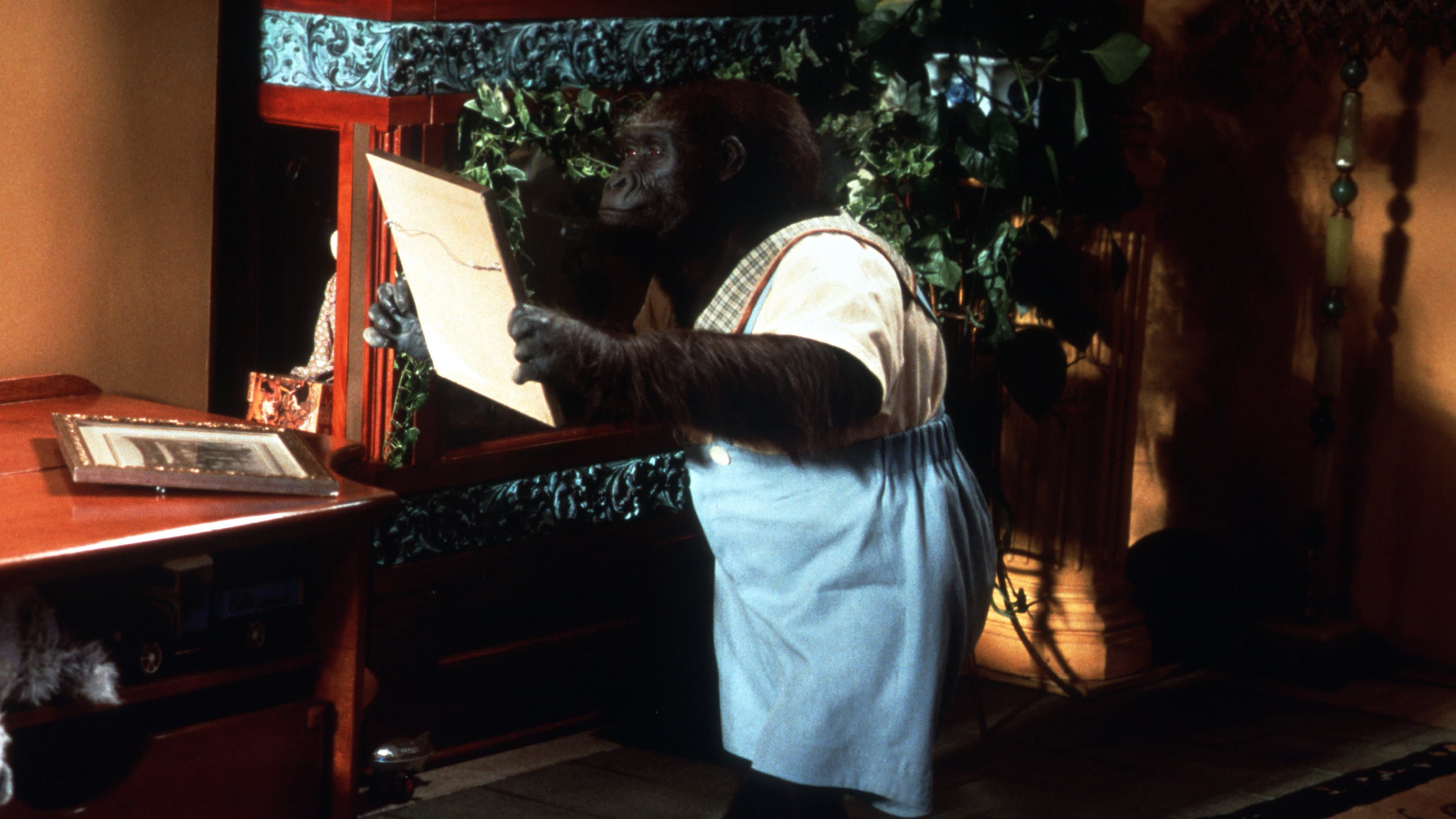 Buddy - Un gorilla per amico - immagine