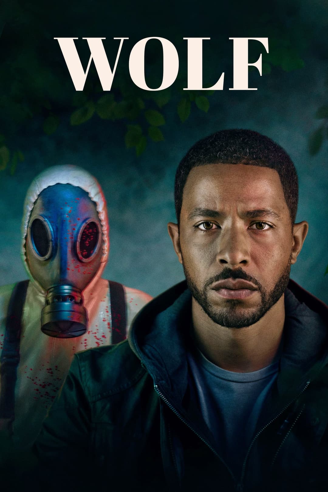 Poster di Wolf