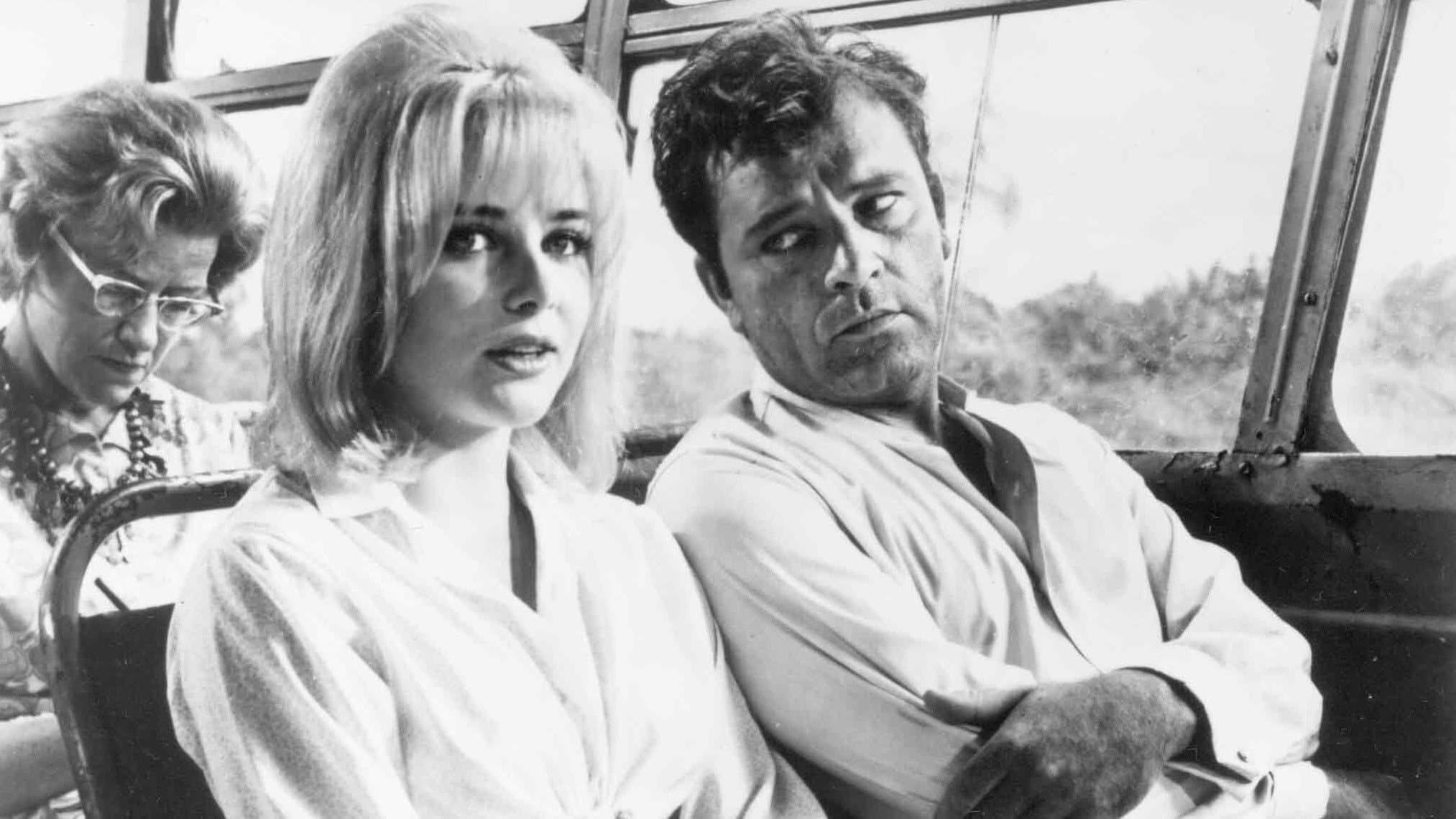 La notte dell'iguana - immagine