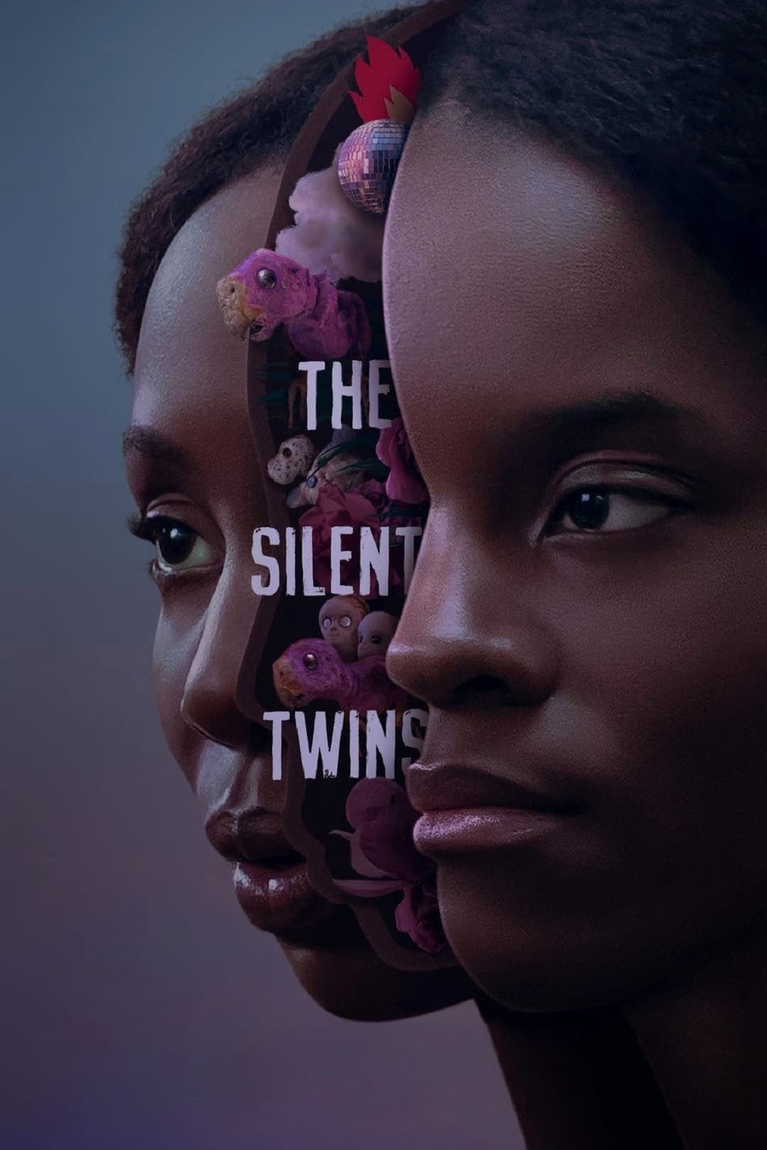 Poster di Le gemelle silenziose