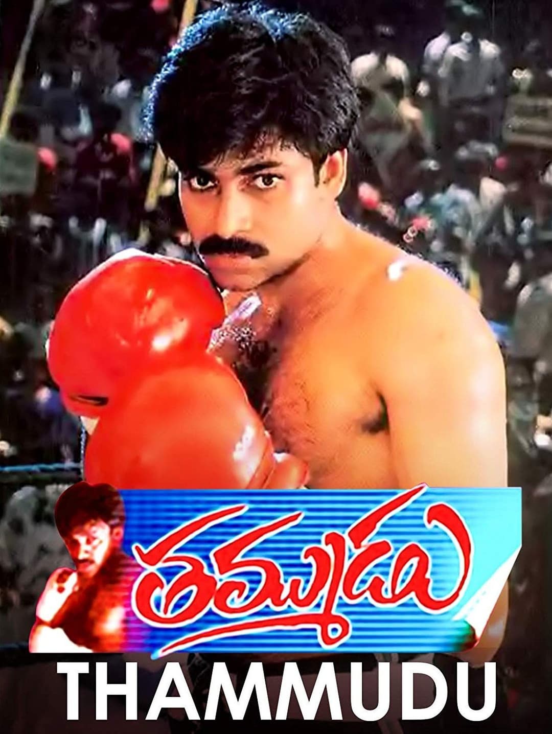 Poster di తమ్ముడు