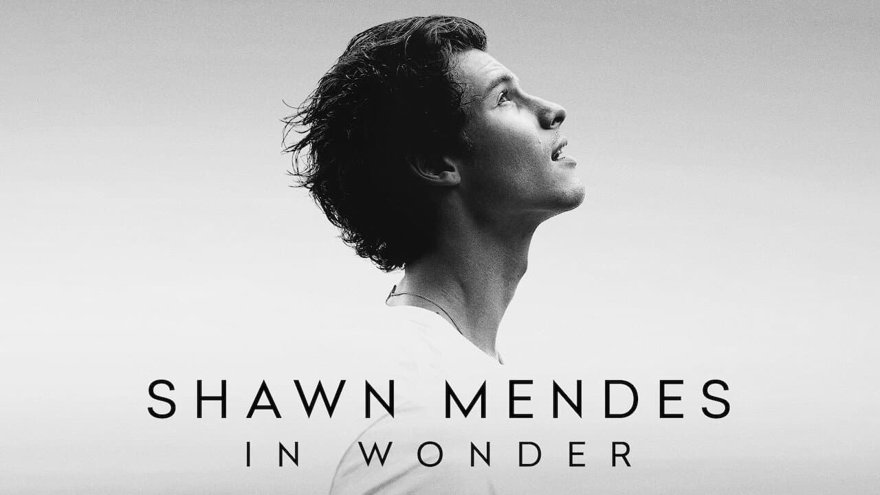 Shawn Mendes: In Wonder - immagine
