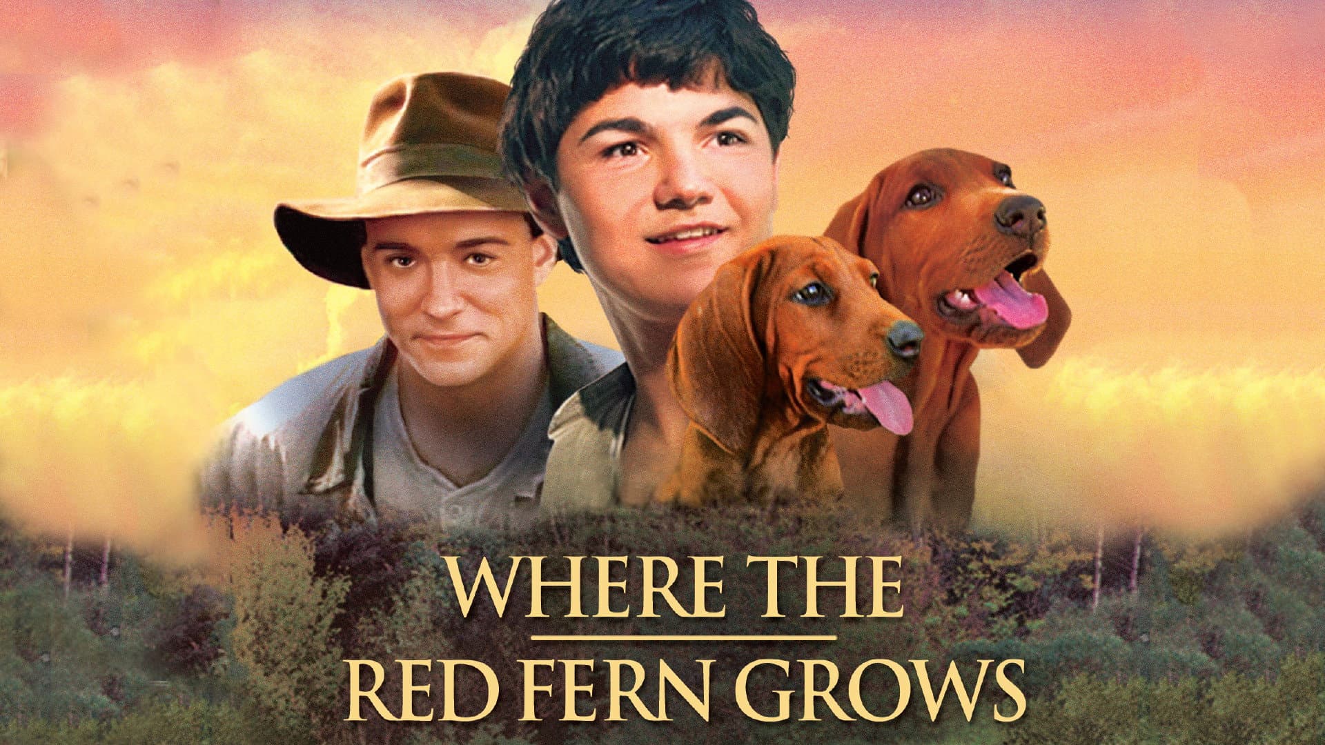 Where the Red Fern Grows - immagine