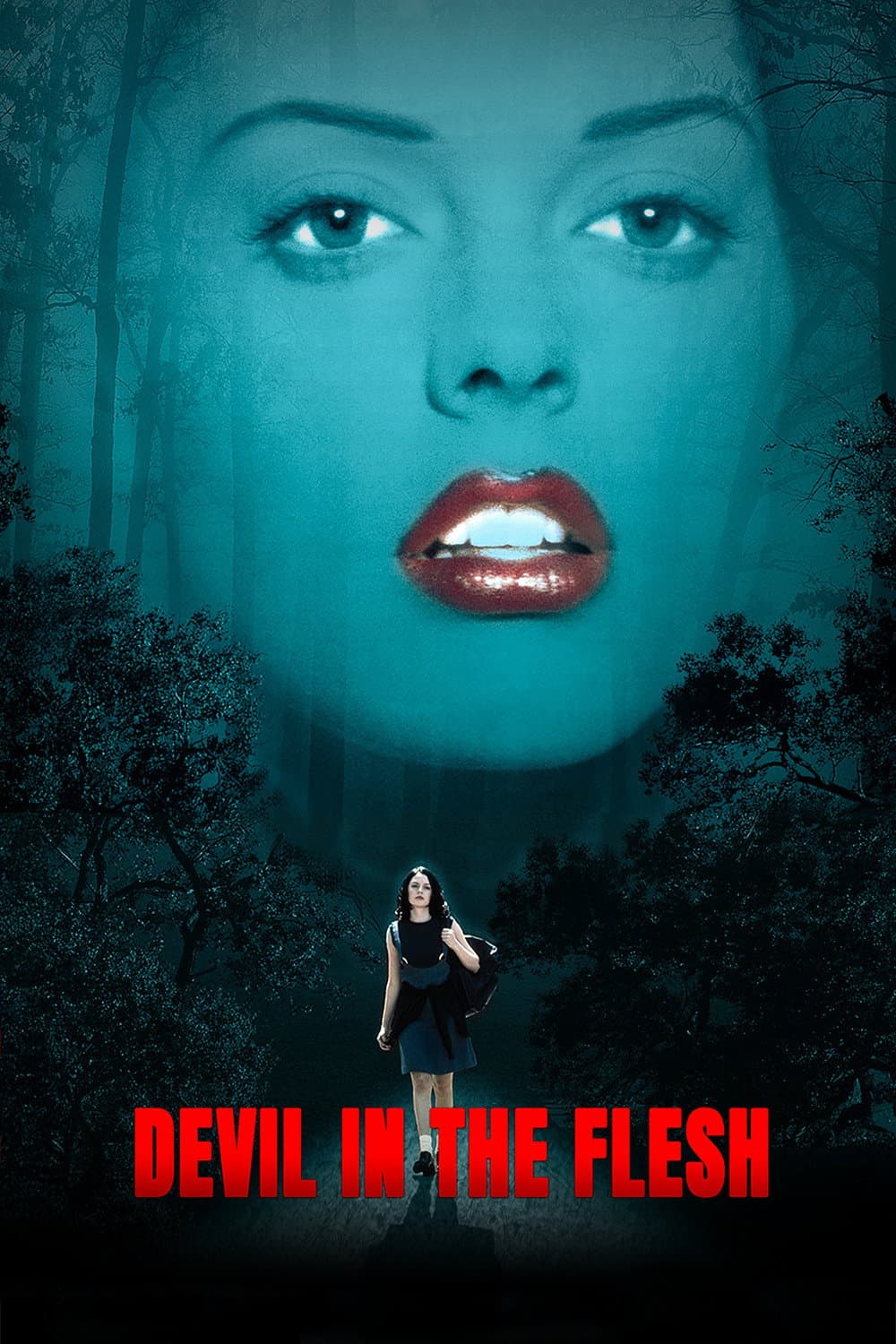 Poster di Il fascino del male