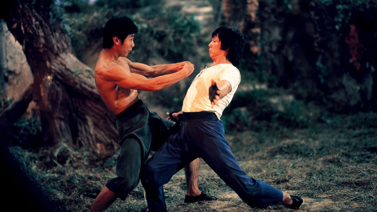 Mad Monkey Kung Fu - immagine