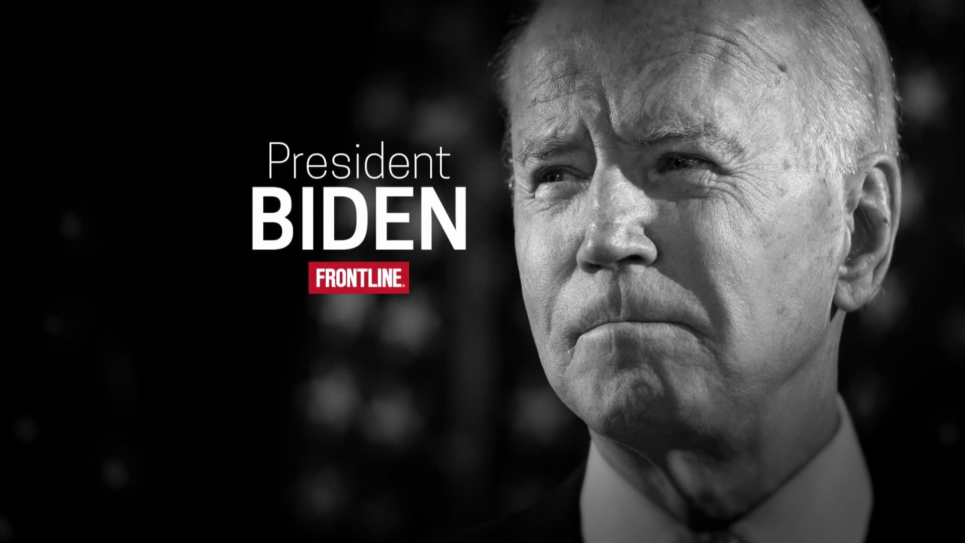 President Biden - immagine