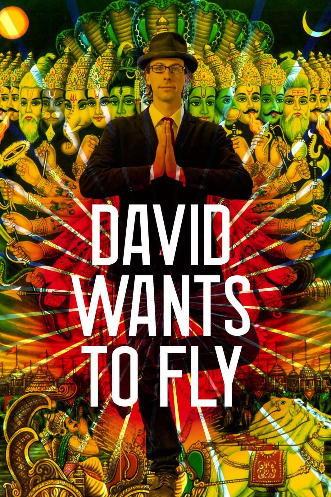Poster di David Wants to Fly
