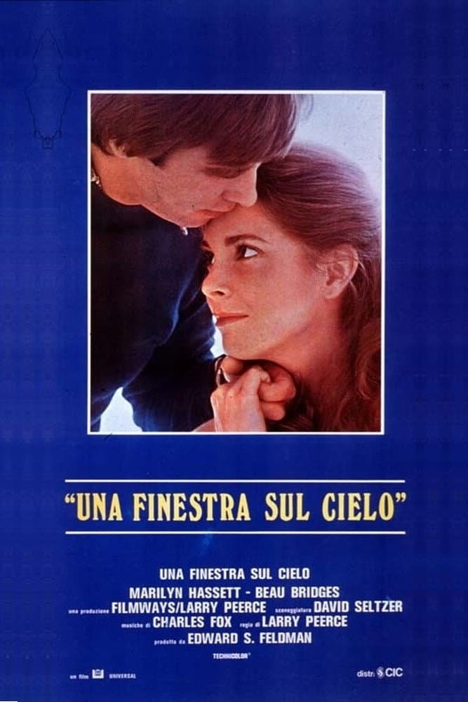 Poster di Una finestra sul cielo