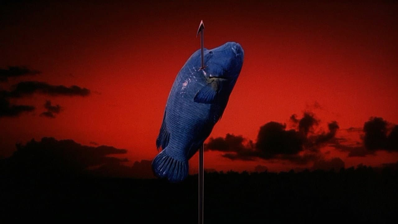 Sonatine - immagine