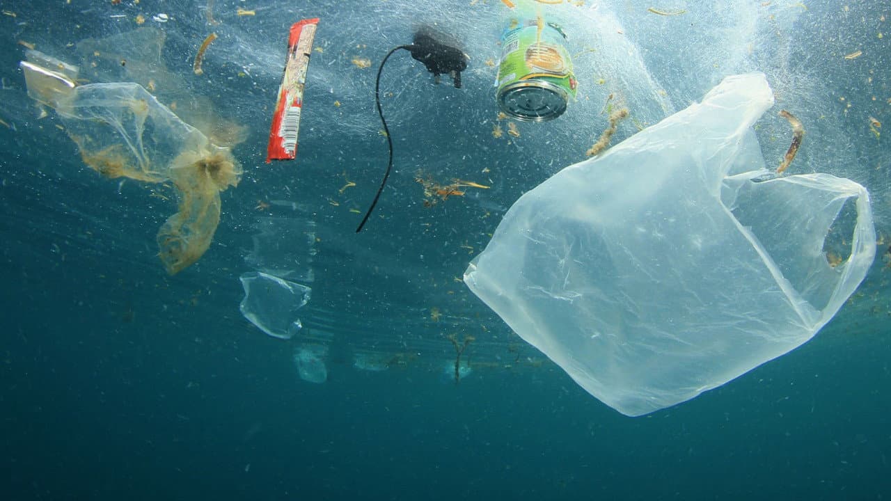 A Plastic Ocean - immagine
