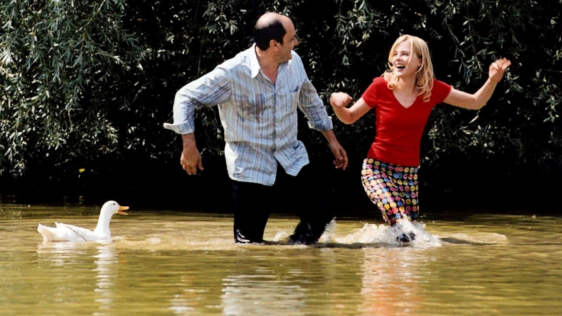 I sentimenti - immagine