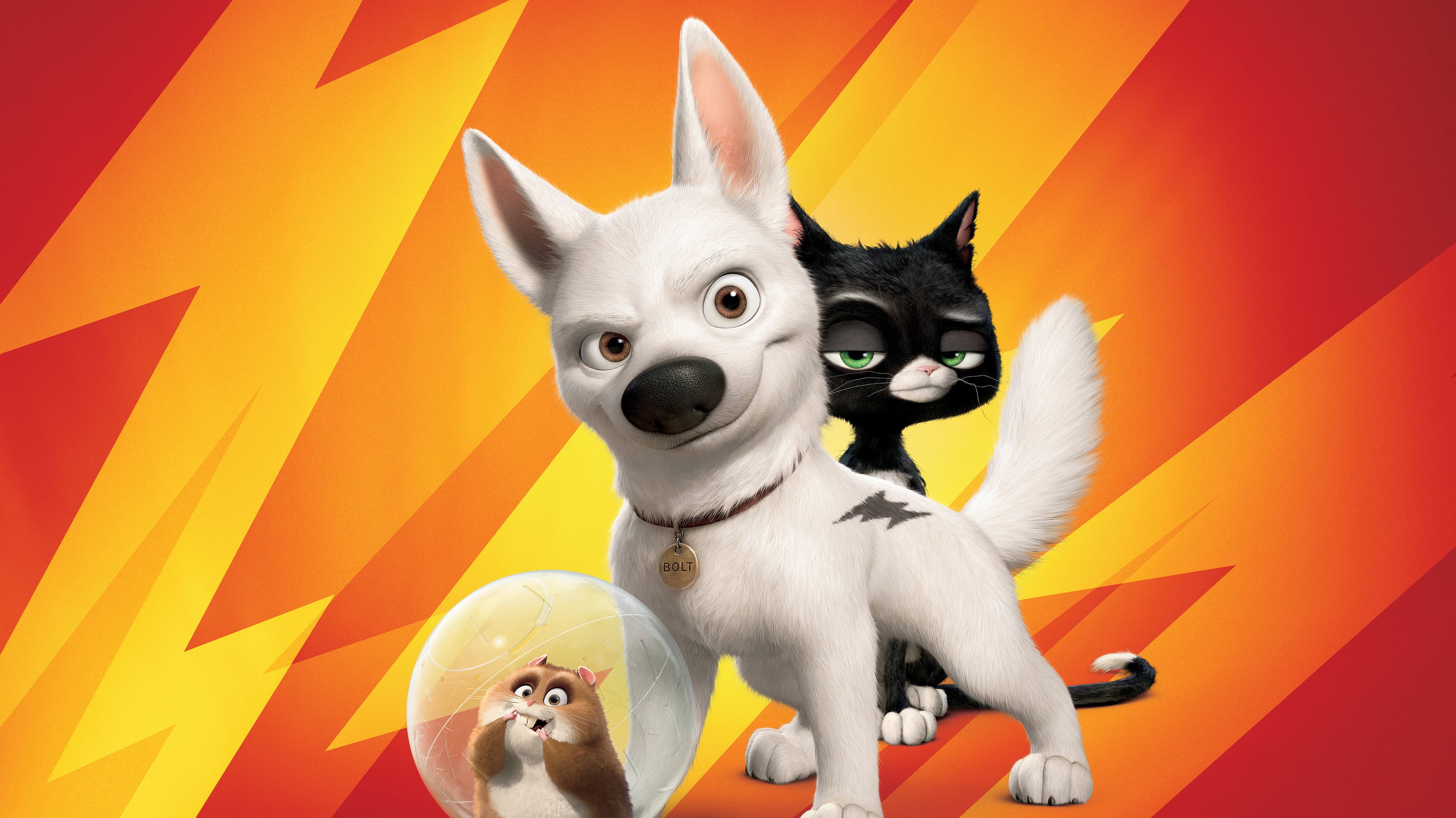 Bolt - Un eroe a quattro zampe - immagine