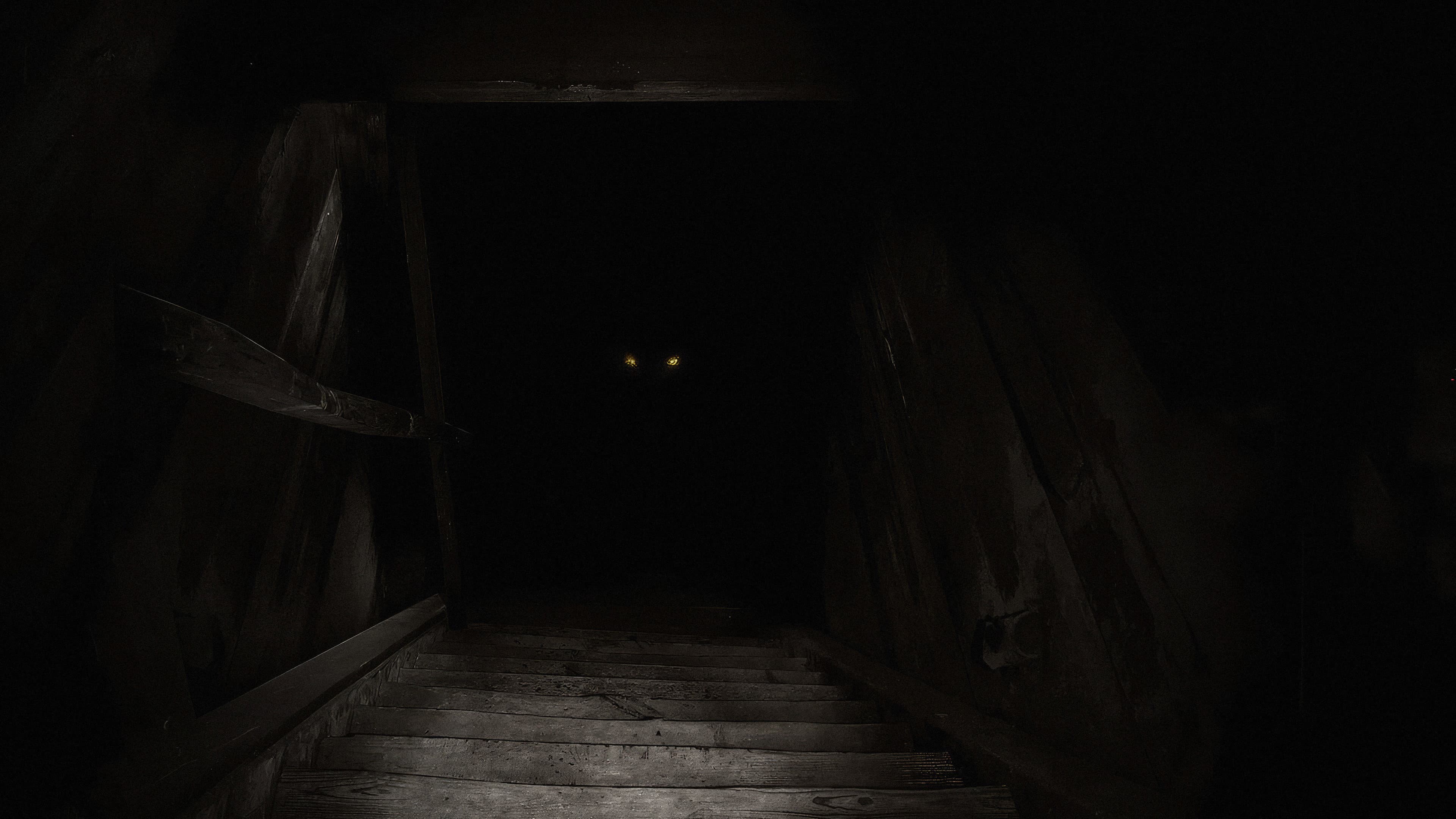 The Boogeyman - immagine
