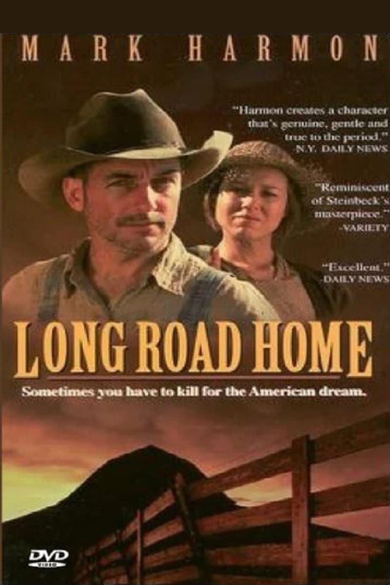 Poster di Il lungo viaggio verso casa